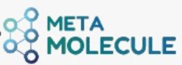 Meta Molecule