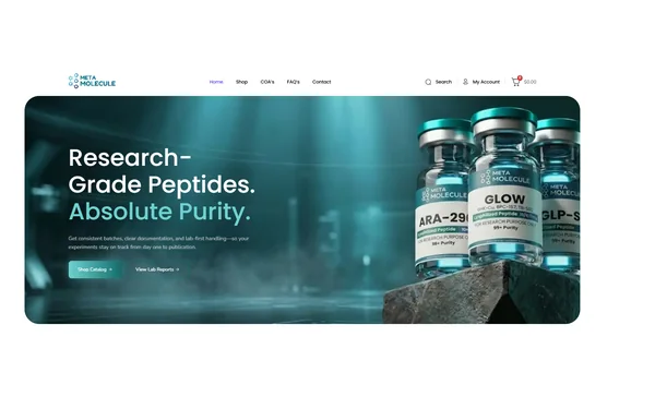 Meta Molecule website
